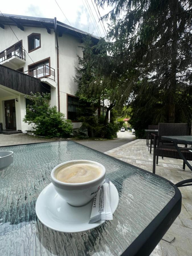 Chalet Minut Vatra Dornei Eksteriør billede